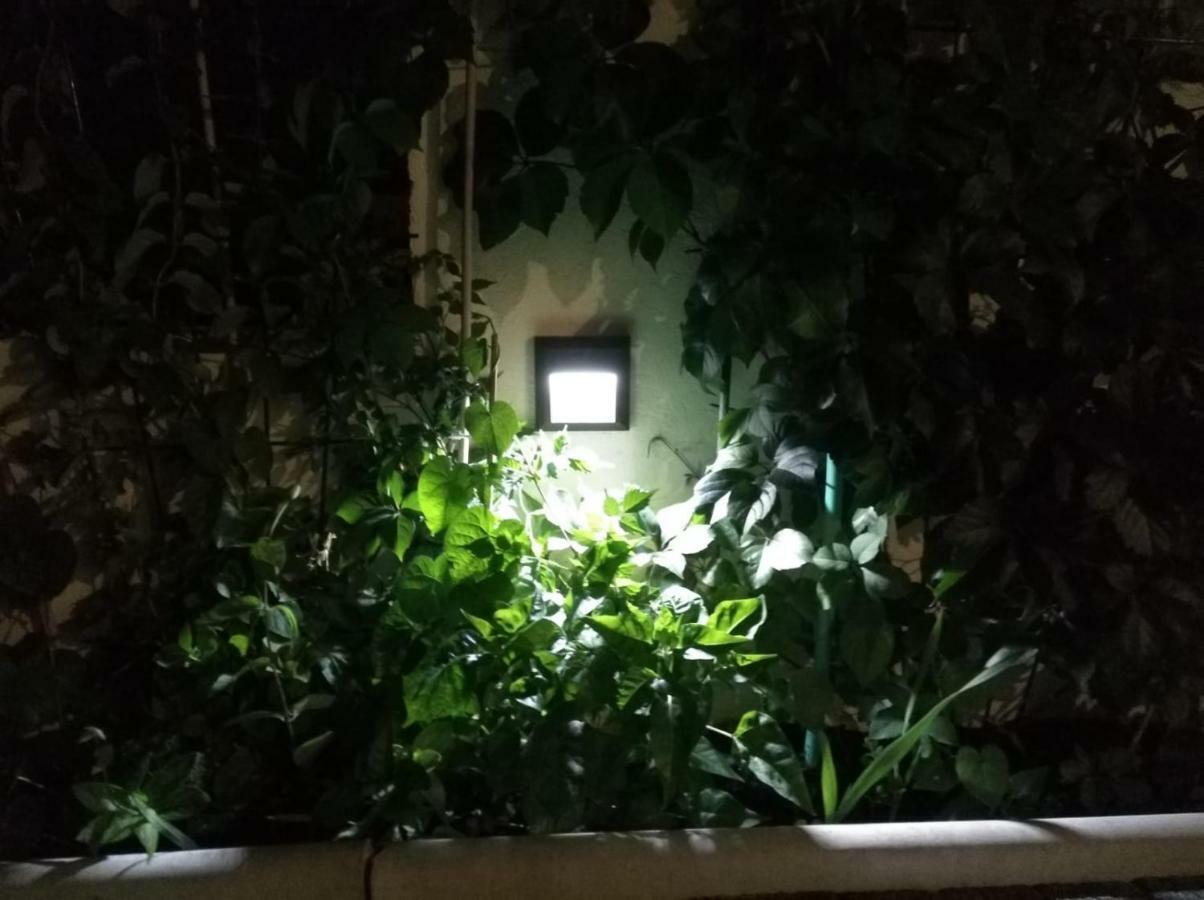 Apartman Pejic,Makarska,Veliko Brdo Dış mekan fotoğraf